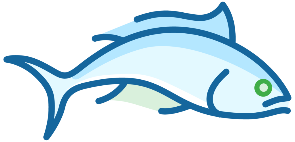 6) Large fish 6) Large fish